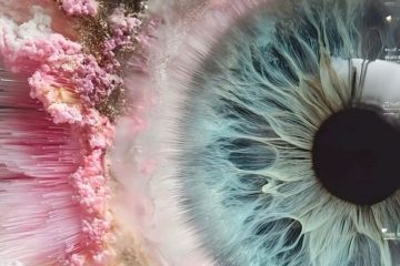 Image de l'article Vous valoriser…